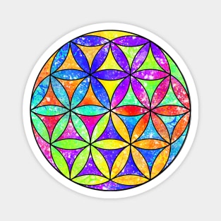 Rainbow Geometric Circle Flower Mandala - Color Shift Magnet